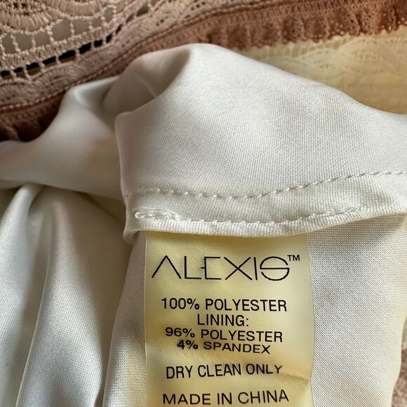 Alexis Embroidered Lace Melania Dress in White & Beige NWT - Picture 9 of 9